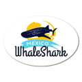 Mexico Whale Shark