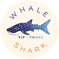 VIP Whale Shark Tours