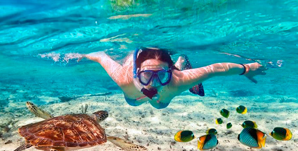 rivieramaya snorkel
