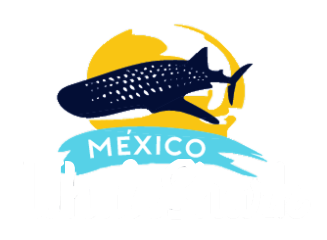 7afc3bb373115542e711221c4f49bce8eff0ca1b