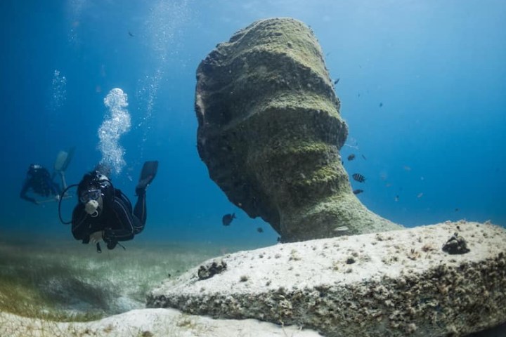 Diver
