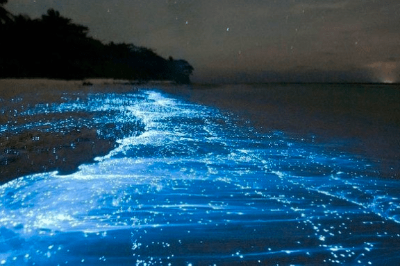 a large body of water