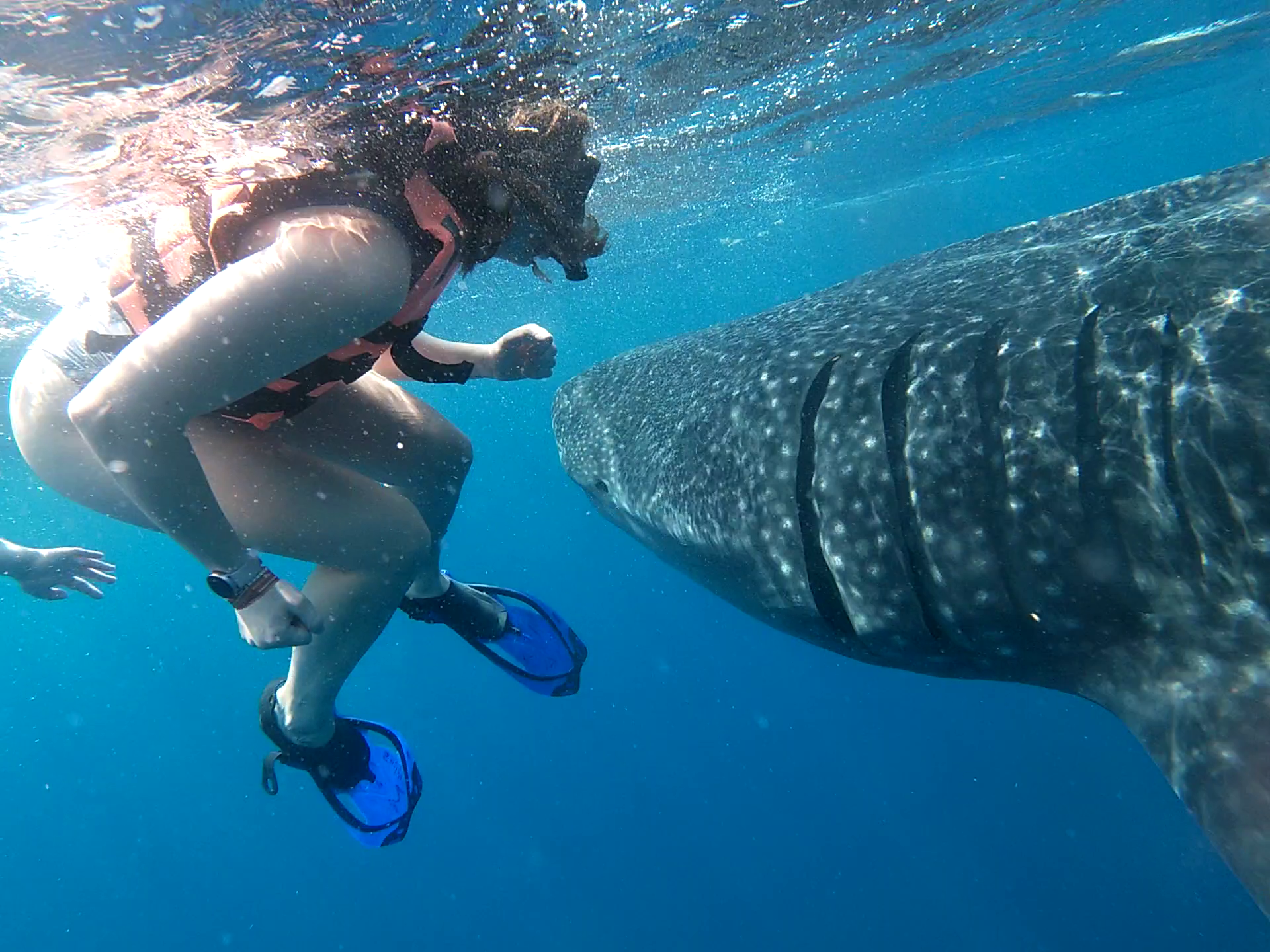a person swimming in a body of water