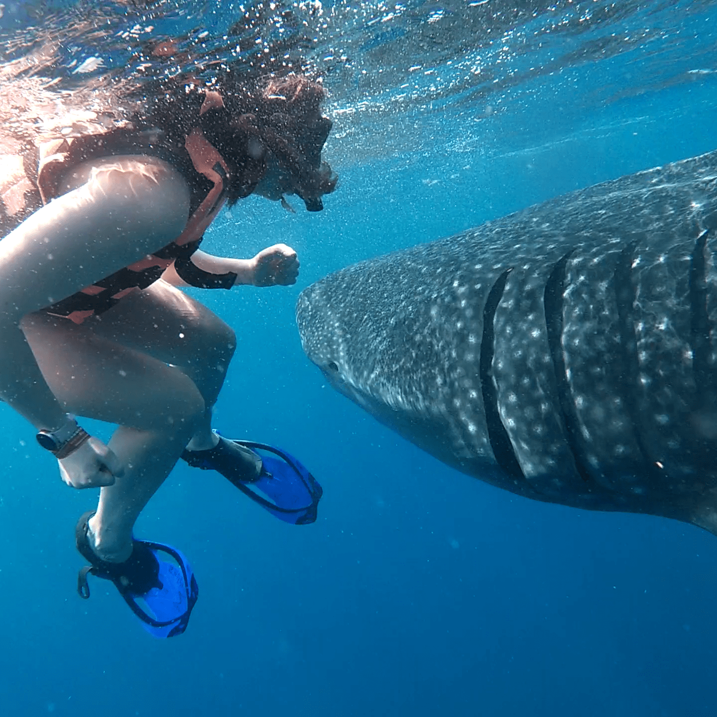 a person swimming in a body of water