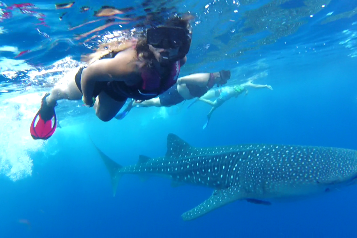 a person swimming in a pool of water